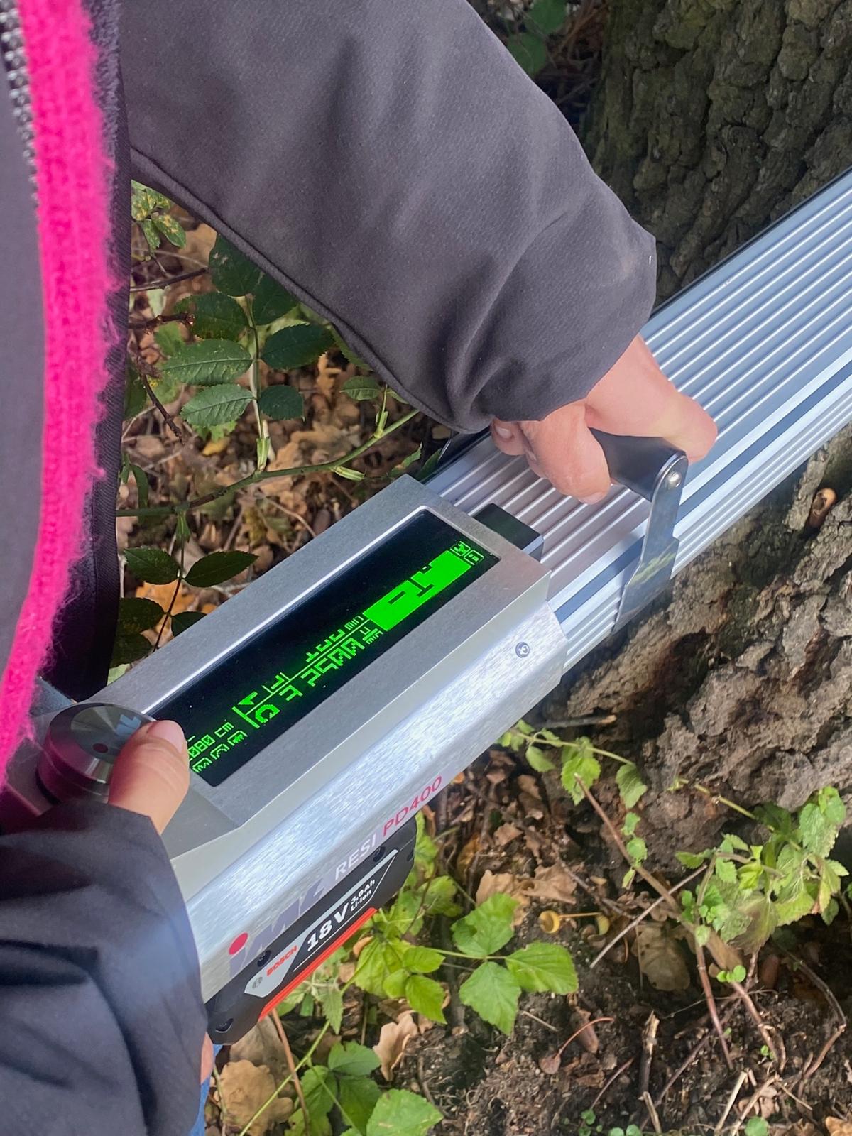 IML | Bohrwiderstandsmessung